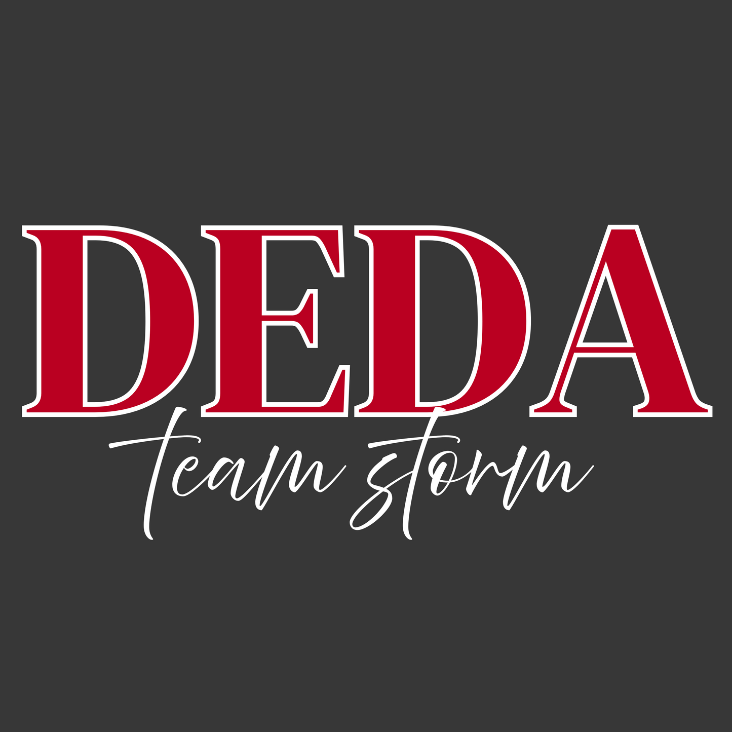 DEDA Team Storm